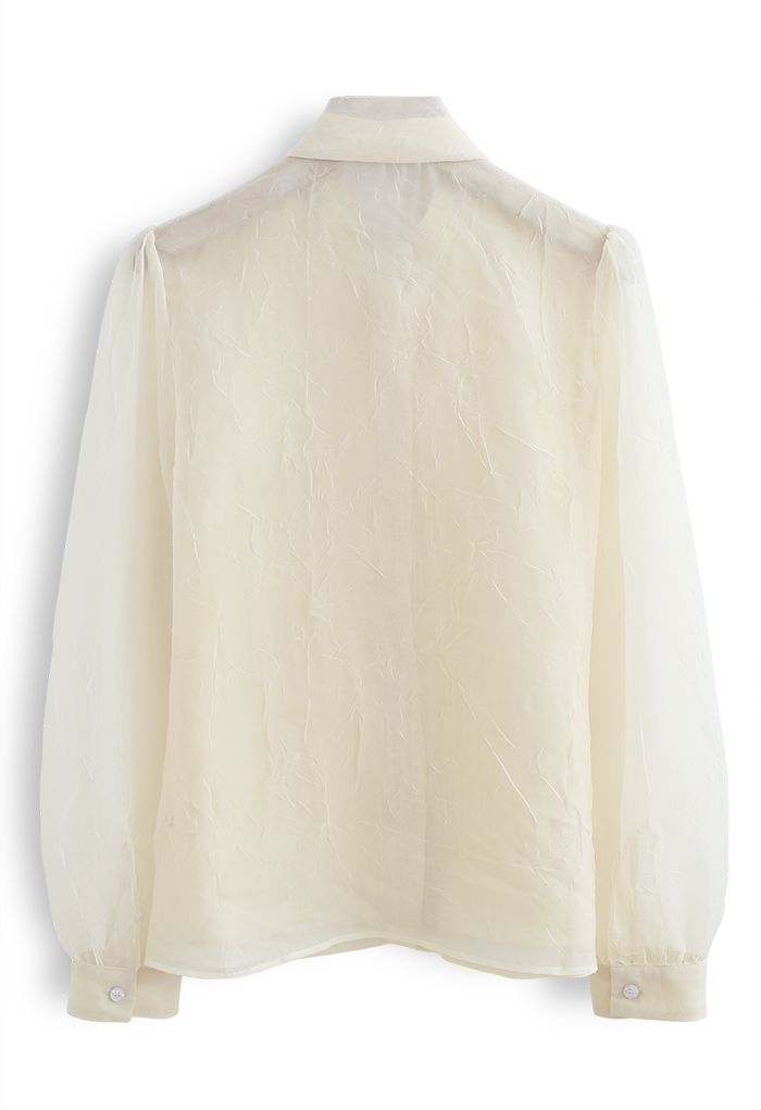 Sheer Bowknot Button Down Shirt in Cream