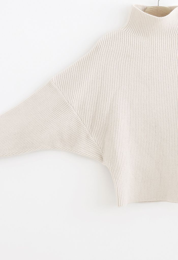 Batwing Sleeves Turtleneck Rib Knit Sweater in Cream