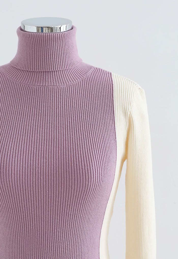Two-Tone Turtleneck Fitted Knit Top in Lilac